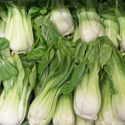 Bok Choy