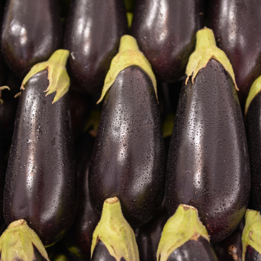 Aubergine