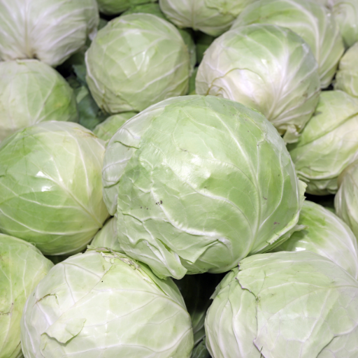 Cabbage