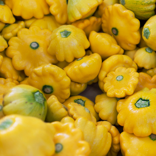 Pattypan (patisson)