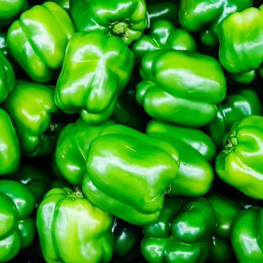 Green Bell Pepper (poivron Vert)